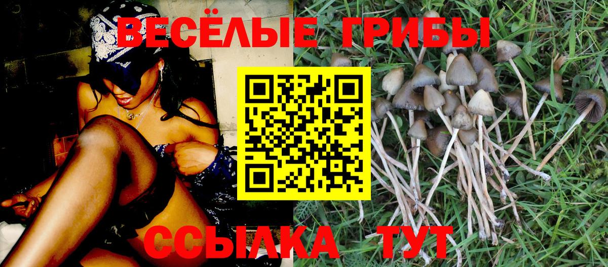 Псилоцибиновые грибы мухоморы Богородск