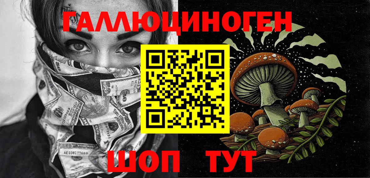 Богородск  Псилоцибиновые грибы GOLDEN TEACHER  Вход с VPN 